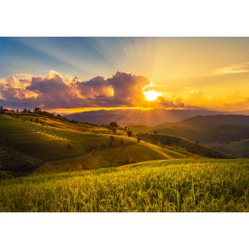 Lais Puzzle - Sonnenuntergang Landschaft Blick auf grüne Terrassenreisfeld in Pa Pong Piang, Mae Chaem, Chiang Mai - 1.000 Teile