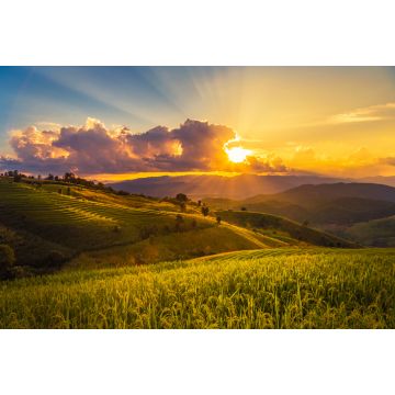 Lais Puzzle - Sonnenuntergang Landschaft Blick auf grüne Terrassenreisfeld in Pa Pong Piang, Mae Chaem, Chiang Mai - 2.000 Teile