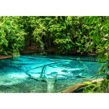 Lais Puzzle - Dschungeltour mit Crystal Pool und Krabi Hot Springs - 1.000 Teile
