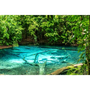 Lais Puzzle - Dschungeltour mit Crystal Pool und Krabi Hot Springs - 2.000 Teile