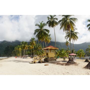 Lais Puzzle - Meer und Palmen am Strand von Maracas in Trinidad und Tobago, Karibik - 2.000 Teile
