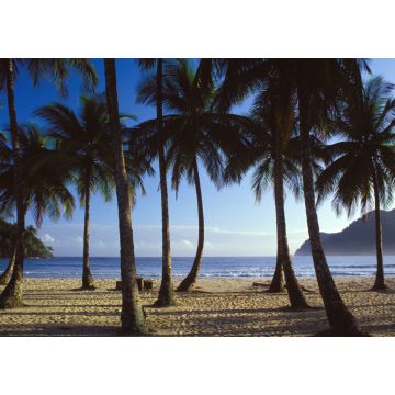 Lais Puzzle - Maracas-Strand, Trinidad - 1.000 Teile