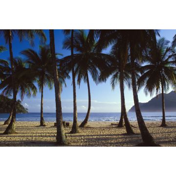 Lais Puzzle - Maracas-Strand, Trinidad - 2.000 Teile