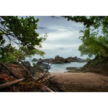 Lais Puzzle - Faszinierender Blick auf einen schönen Sandstrand auf der Karibikinsel Tobago, Trinidad - 1.000 Teile