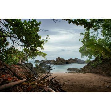 Lais Puzzle - Faszinierender Blick auf einen schönen Sandstrand auf der Karibikinsel Tobago, Trinidad - 2.000 Teile