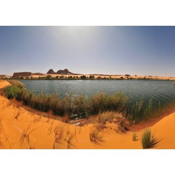 Lais Puzzle - Süßwassersee Bokou in der Ouniaga-Serir-Seenreihe in der Sahara-Wüste, Tschad - 1.000 Teile