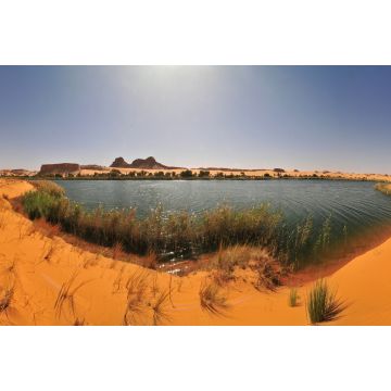 Lais Puzzle - Süßwassersee Bokou in der Ouniaga-Serir-Seenreihe in der Sahara-Wüste, Tschad - 2.000 Teile