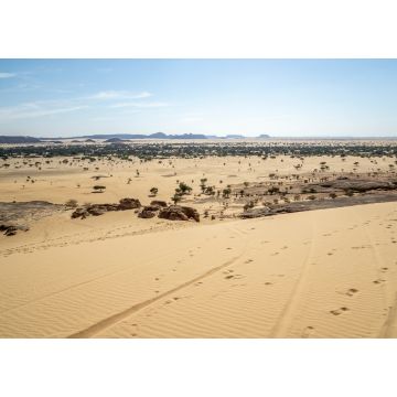 Lais Puzzle - Wüstenlandschaft, Ennedi-Gebirge, Tschad, Afrika - 1.000 Teile