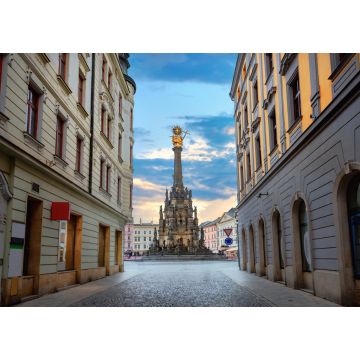 Lais Puzzle - Straße im Stadtzentrum mit Blick auf den Platz und das Denkmal der Dreifaltigkeitssäule. Olomouc, Tschechische Republik - 1.000 Teile