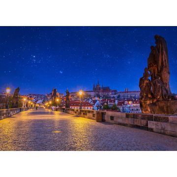 Lais Puzzle - Schöne Karlsbrücke in Prag bei Nacht, Tschechische Republik - 1.000 Teile