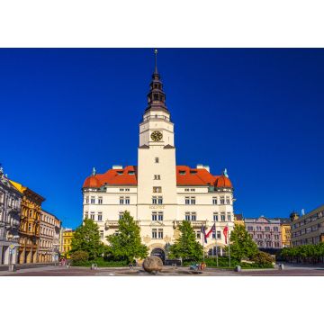 Lais Puzzle - Oberer Platz mit dem Rathaus in der Stadt Opava, Tschechische Republik, Europa - 1.000 Teile