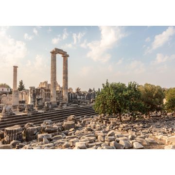 Lais Puzzle - Die historischen Ruinen des Apollo-Tempels in Didim in der Provinz Aydn in der Türkei - 1.000 Teile
