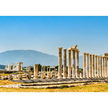 Lais Puzzle - Laodicea am Lycus, eine archäologische Stätte in der Westtürkei - 1.000 Teile