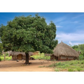 Lais Puzzle - Dorf, Uganda, Ostafrika - 1.000 Teile