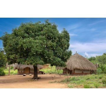Lais Puzzle - Dorf, Uganda, Ostafrika - 2.000 Teile