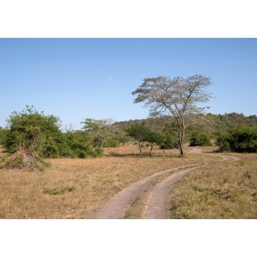 Lais Puzzle - Mburo-See-Nationalpark, Uganda - 1.000 Teile