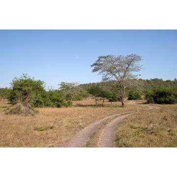 Lais Puzzle - Mburo-See-Nationalpark, Uganda - 2.000 Teile