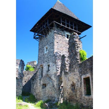 Lais Puzzle - Die Burg Nevitsky ist die Perle der Unterkarpaten. Die Ruinen einer alten Burg aus dem 13. Jahrhundert. Eine der interessantesten Burgen in der Nähe von Uzhgorod, Region Zakarpattia, Westukraine - 1.000 Teile
