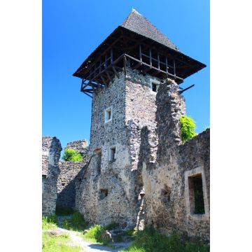 Lais Puzzle - Die Burg Nevitsky ist die Perle der Unterkarpaten. Die Ruinen einer alten Burg aus dem 13. Jahrhundert. Eine der interessantesten Burgen in der Nähe von Uzhgorod, Region Zakarpattia, Westukraine - 2.000 Teile