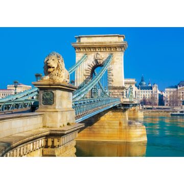 Lais Puzzle - Nahaufnahme der historischen Freiheitsbrücke über die Donau in Budapest, Ungarn - 1.000 Teile