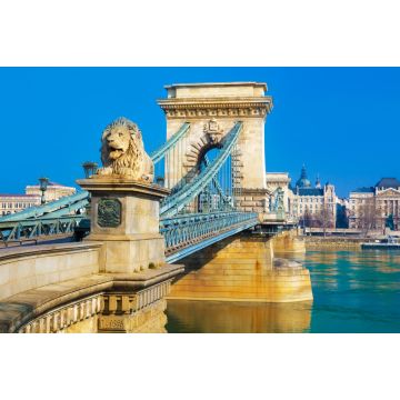 Lais Puzzle - Nahaufnahme der historischen Freiheitsbrücke über die Donau in Budapest, Ungarn - 2.000 Teile