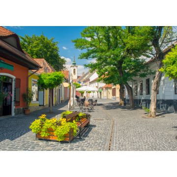 Lais Puzzle - Malerischer Blick auf die Altstadt von Szentendre, Ungarn an einem sonnigen Sommertag - 1.000 Teile