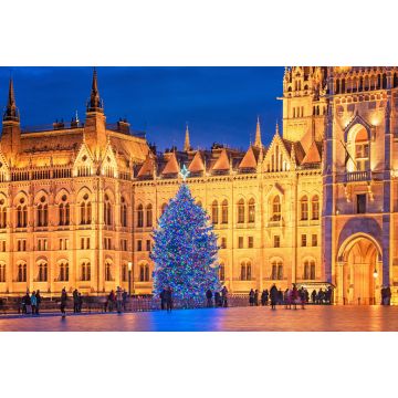 Lais Puzzle - Schöner Weihnachtsbaum vor dem ungarischen Parlament - 2.000 Teile
