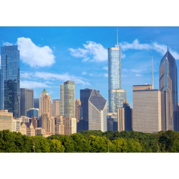 Lais Puzzle - Stadtbild von Chicago im Stadtzentrum, Vereinigte Staaten - 1.000 Teile