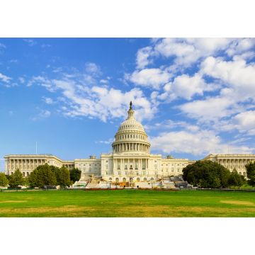 Lais Puzzle - Das Kapitolgebäude der Vereinigten Staaten in Washington DC - 1.000 Teile