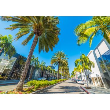Lais Puzzle - Palmen auf dem Rodeo Drive, Los Angeles, USA - 1.000 Teile