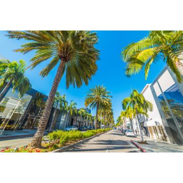 Lais Puzzle - Palmen auf dem Rodeo Drive, Los Angeles, USA - 2.000 Teile