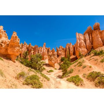 Lais Puzzle - Bryce Canyon National Park - Wanderung auf dem Queens Garden Trail und Najavo Loop in den Canyon, Utah - 1.000 Teile
