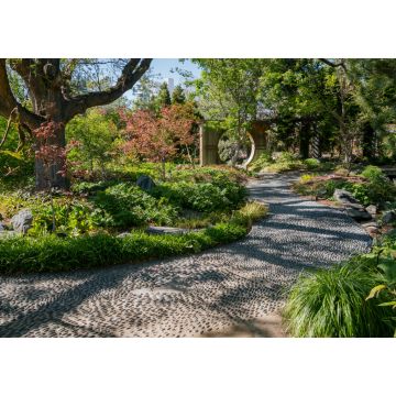 Lais Puzzle - Die wunderschönen Botanischen Gärten von Denver - 1.000 Teile