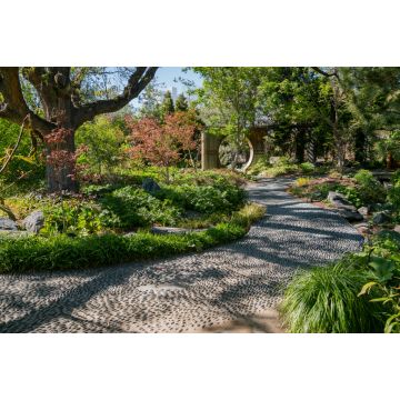 Lais Puzzle - Die wunderschönen Botanischen Gärten von Denver - 2.000 Teile