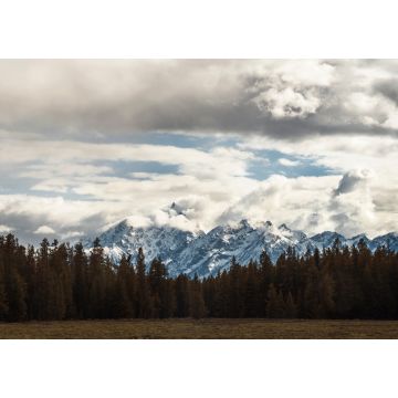 Lais Puzzle - Panoramablick auf den Grand-Teton-Nationalpark, Wyoming, USA - 1.000 Teile