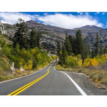 Lais Puzzle - Fahrt durch die Sierra Mountains an einem sonnigen Tag, Kalifornien - 40, 100, 200, 500, 1.000 & 2.000 Teile