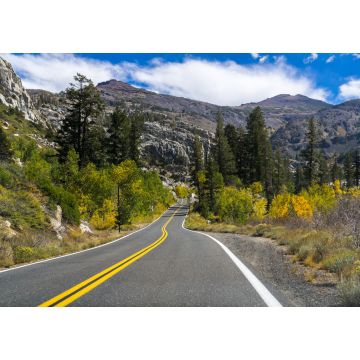 Lais Puzzle - Fahrt durch die Sierra Mountains an einem sonnigen Tag, Kalifornien - 1.000 Teile