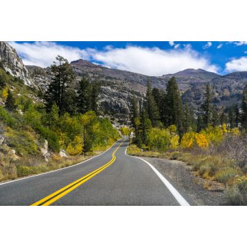 Lais Puzzle - Fahrt durch die Sierra Mountains an einem sonnigen Tag, Kalifornien - 2.000 Teile