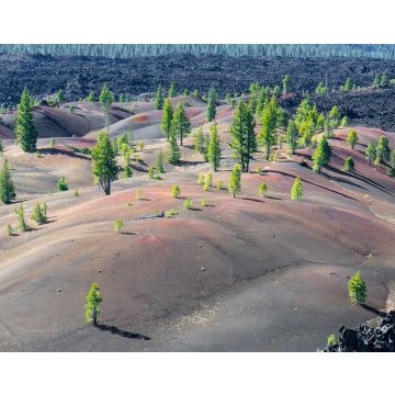 Lais Puzzle - Gemalte Dünen im Lassen Volcanic National Park, Kalifornien, USA - 40, 100, 200, 500, 1.000 & 2.000 Teile