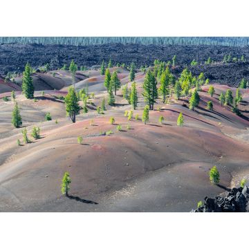 Lais Puzzle - Gemalte Dünen im Lassen Volcanic National Park, Kalifornien, USA - 1.000 Teile