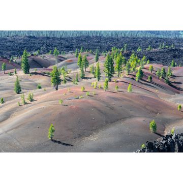 Lais Puzzle - Gemalte Dünen im Lassen Volcanic National Park, Kalifornien, USA - 2.000 Teile
