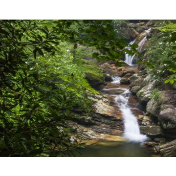 Lais Puzzle - Skinny Dip Falls, Blue RIdge Parkway, North Carolina, Vereinigte Staaten - 40, 100, 200, 500, 1.000 & 2.000 Teile