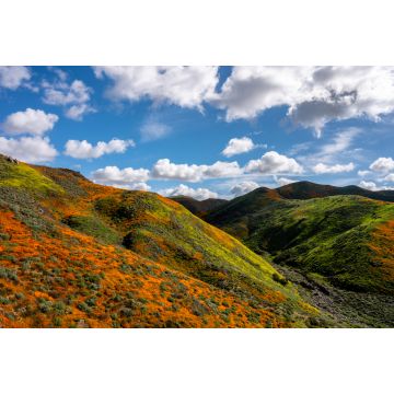 Lais Puzzle - Kalifornische Mohnblumen färben den Hang an einem schönen bewölkten Tag in Lake Elsinore, Kalifornien - 2.000 Teile