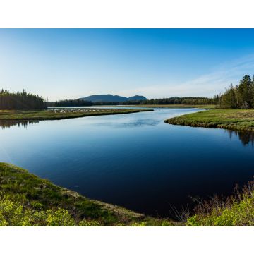 Lais Puzzle - Acadia-Nationalpark, Maine, Vereinigte Staaten von Amerika - 40, 100, 200, 500, 1.000 & 2.000 Teile