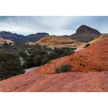 Lais Puzzle - Red Rock Canyon, Clark County, Nevada, USA, Amerika - 1.000 Teile