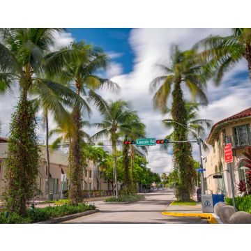 Lais Puzzle - Lincoln Road in Miami Beach FL USA - 40, 100, 200, 500, 1.000 & 2.000 Teile
