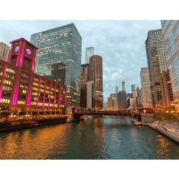 Lais Puzzle - Skyline der Innenstadt von Chicago mit Gebäuden am Fluss - 40, 100, 200, 500, 1.000 & 2.000 Teile