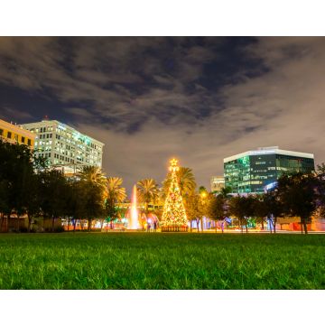 Lais Puzzle - Weihnachtsbaum im Park Fort Lauderdale, Florida, USA - 40, 100, 200, 500, 1.000 & 2.000 Teile