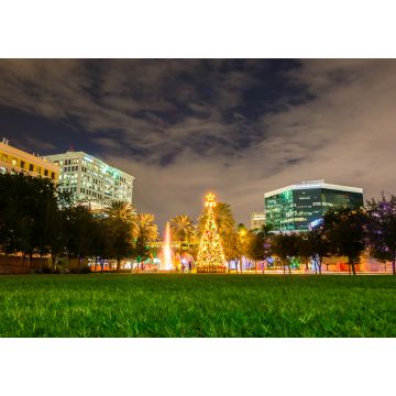 Lais Puzzle - Weihnachtsbaum im Park Fort Lauderdale, Florida, USA - 1.000 Teile