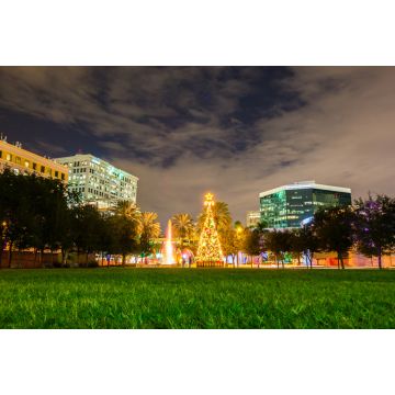 Lais Puzzle - Weihnachtsbaum im Park Fort Lauderdale, Florida, USA - 2.000 Teile